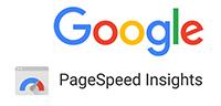 Google- Page Speed Insights